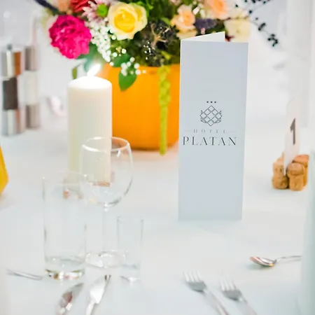 Hotel Platan 3*